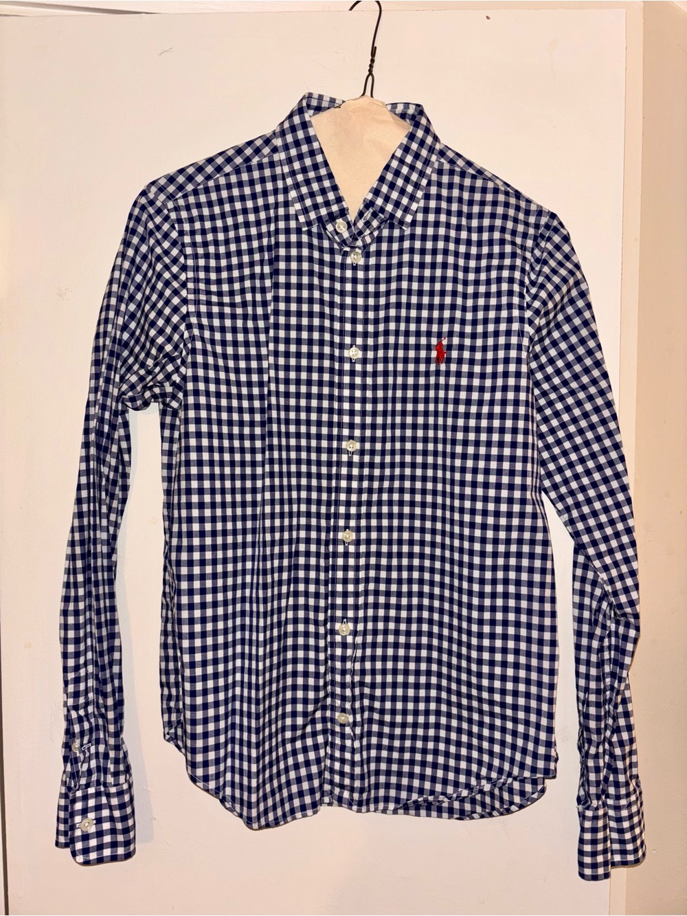 Polo by Ralph Lauren Blue and White Gingham Button-Down Shirt with Red Pony